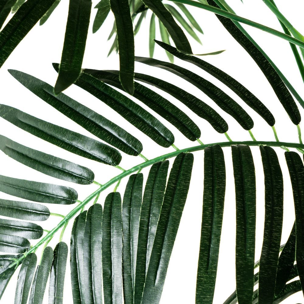 PALMERA JACOBINA 130CM