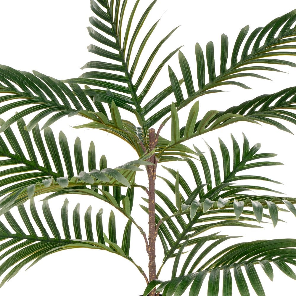 PALMERA FERRIERA 65CM