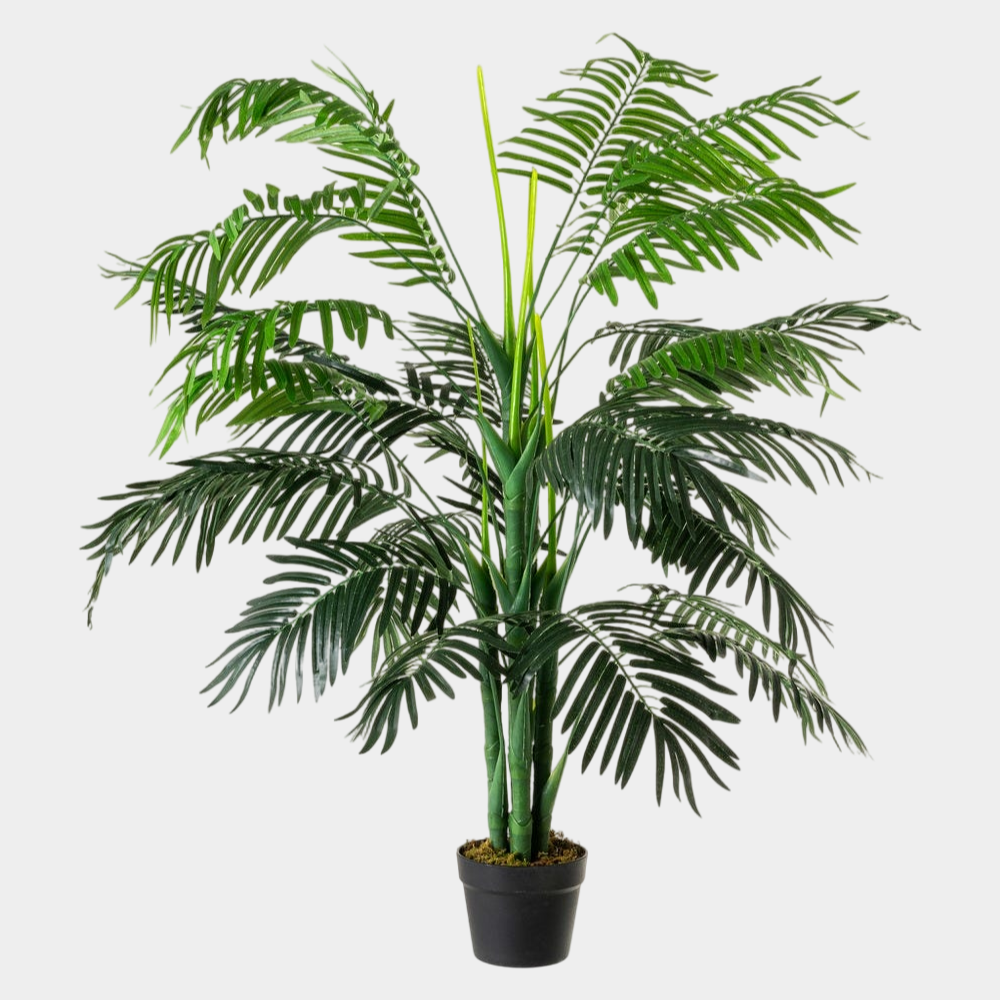 PALMERA JACOBINA 130CM