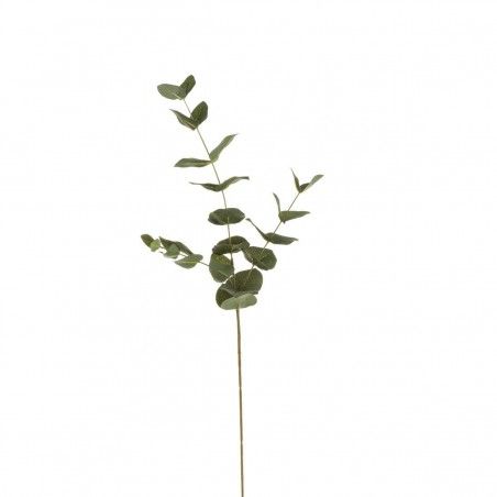 BRANCHE D'EUCALYPTUS TAIAO 60 CM