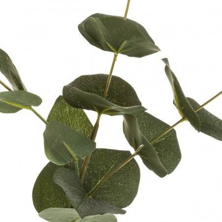 BRANCHE D'EUCALYPTUS TAIAO 60 CM