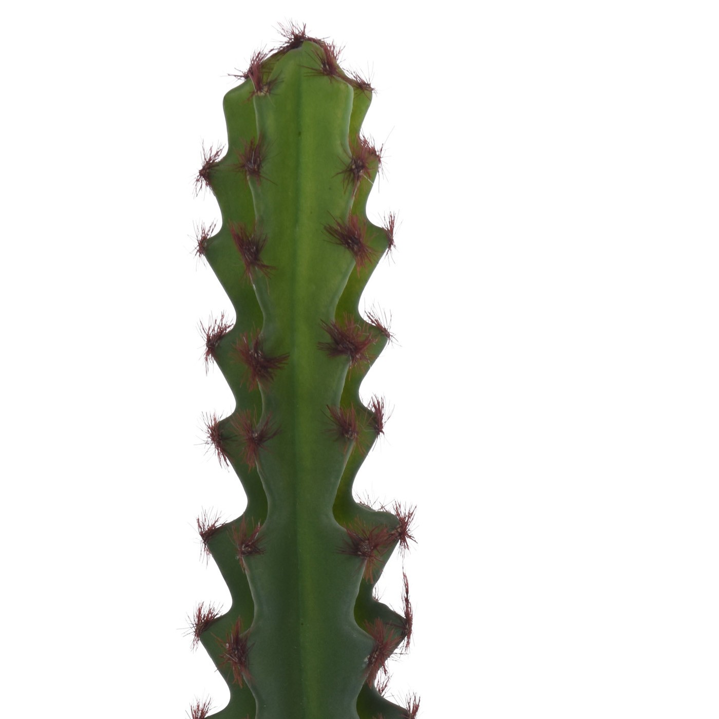 BRANCHE CACTUS SARI 31CM