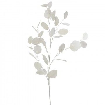 BRANCHE EUCALYPTUS ISIS BLANC