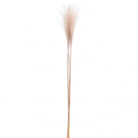 BRANCHE PAMPAS AGNETA 90CM