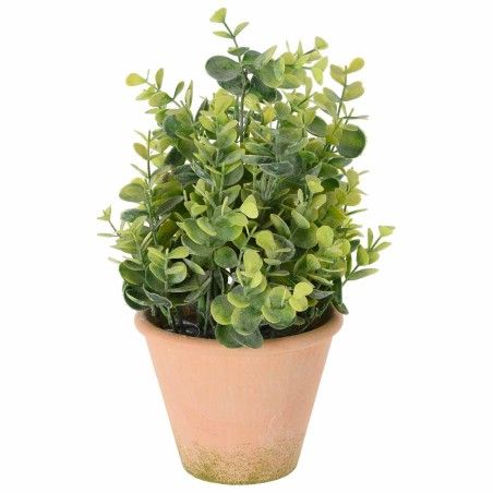 PLANTE SENSE 31CM