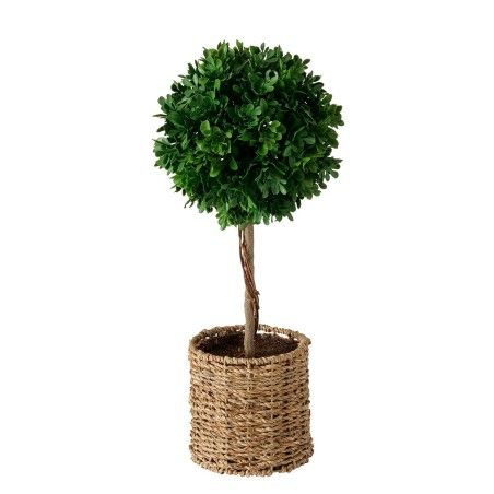 PLANTE ARBRE BOJ 43CM