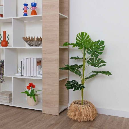 PLANTE MONSTERA AILYN 110CM