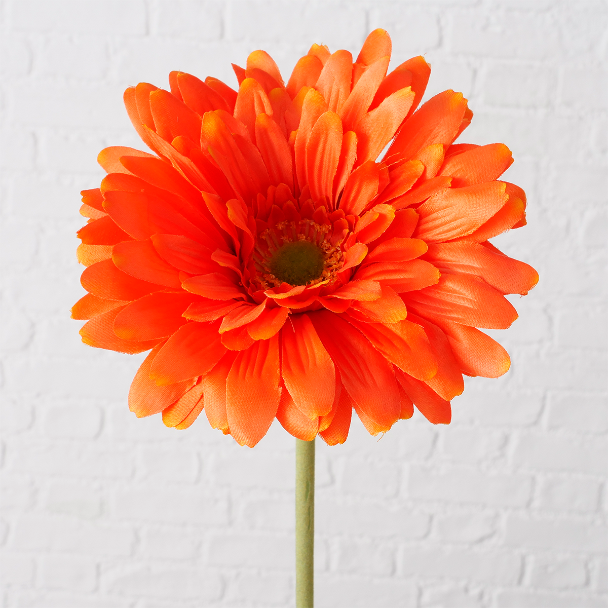 BRANCHE DE FLEURS DE TOSYA