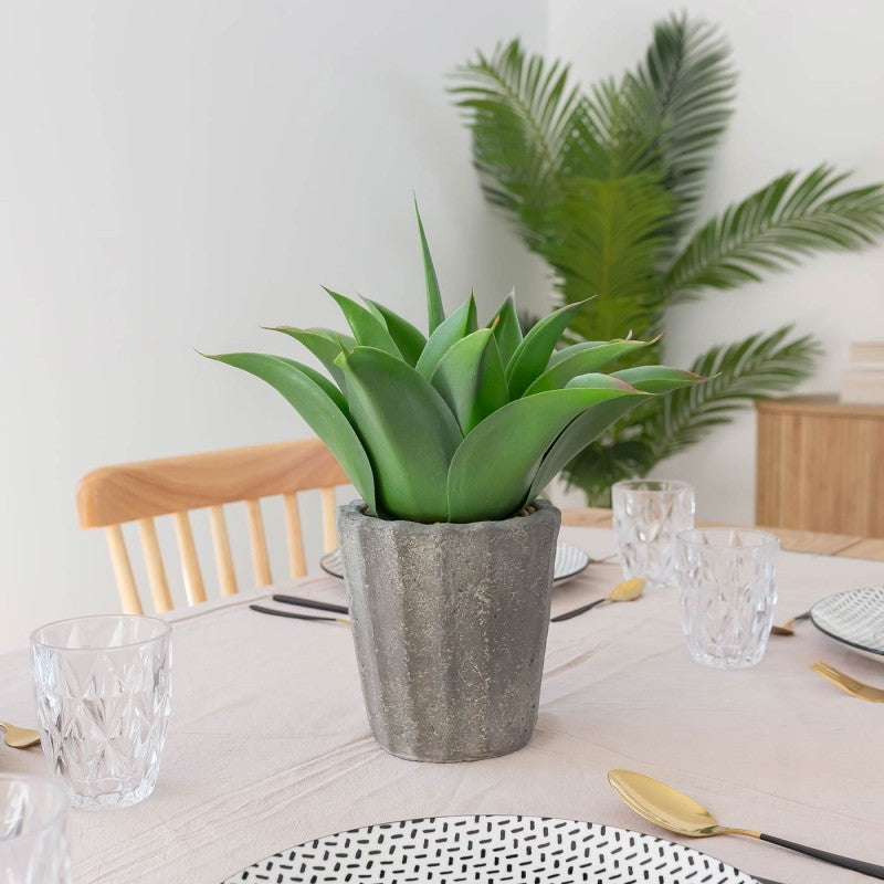 PLANTE MARINA 50CM
